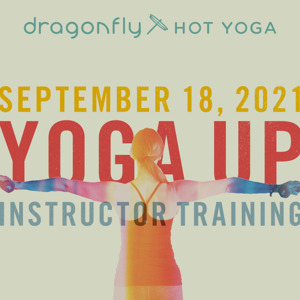 Yoga Barre & Fitness Studio Dragonfly Hot Yoga Madison, WI
